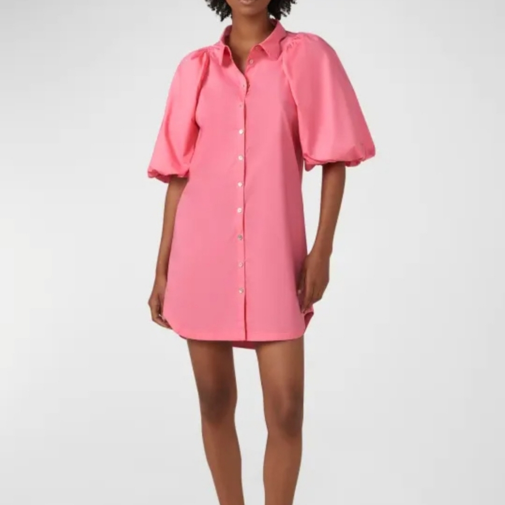 Circle Of Trust Elegant Pink Puff Sleeve  Dress